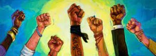 Solidarity